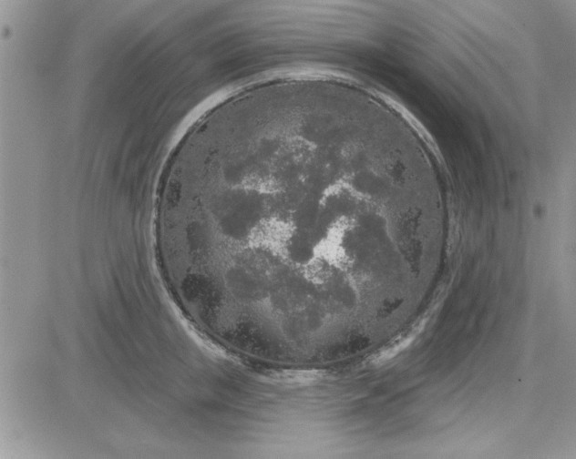 X0000081560853200701291148