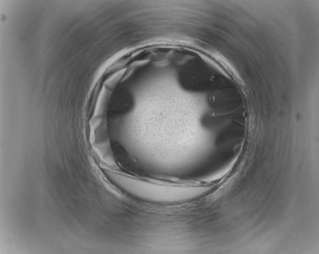 X0000081560854200701291148