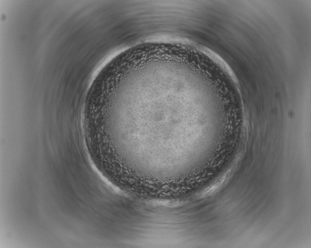 X0000081560855200701291148