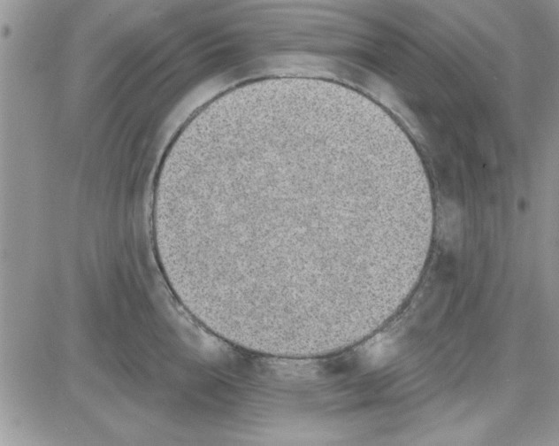 X0000081560856200701291148