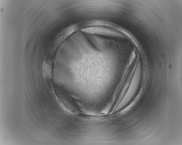 X0000081560857200701291148