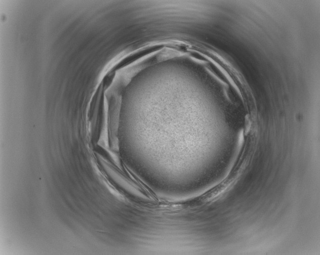 X0000081560858200701291148