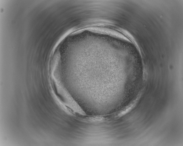 X0000081560859200701291148