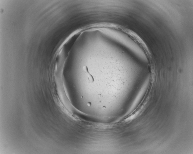 X0000081560860200701291148