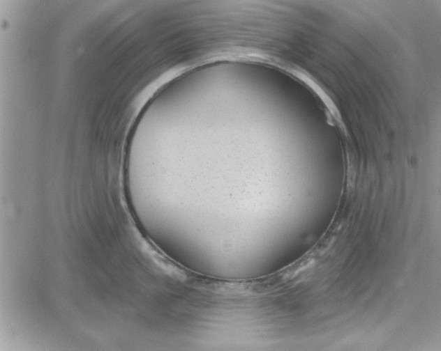 X0000081560861200701291148