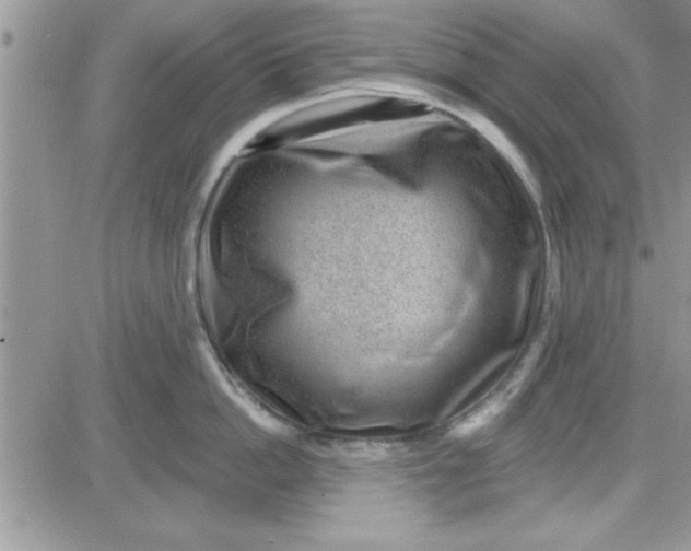 X0000081560862200701291148