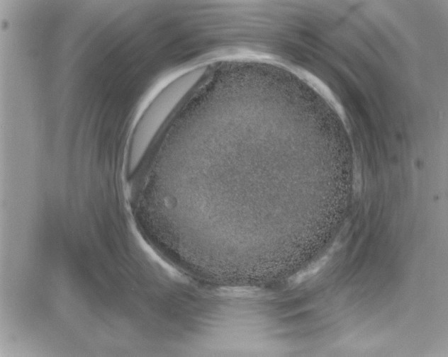 X0000081560863200701291148