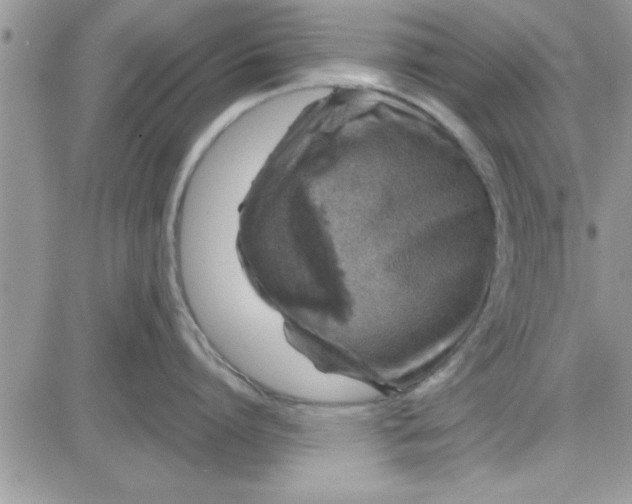 X0000081560864200701291148