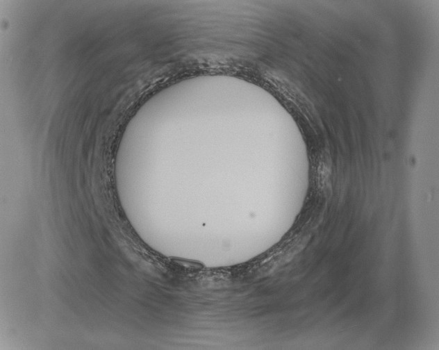 X0000081560865200701291147