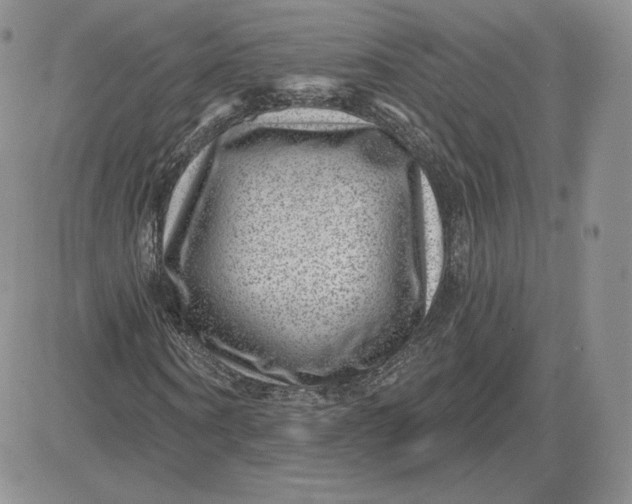 X0000081560866200701291147