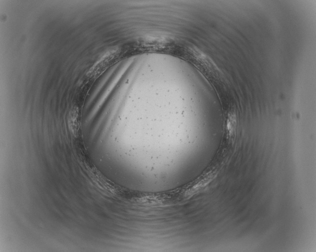 X0000081560867200701291147