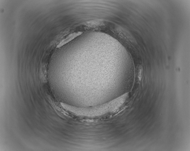 X0000081560868200701291147