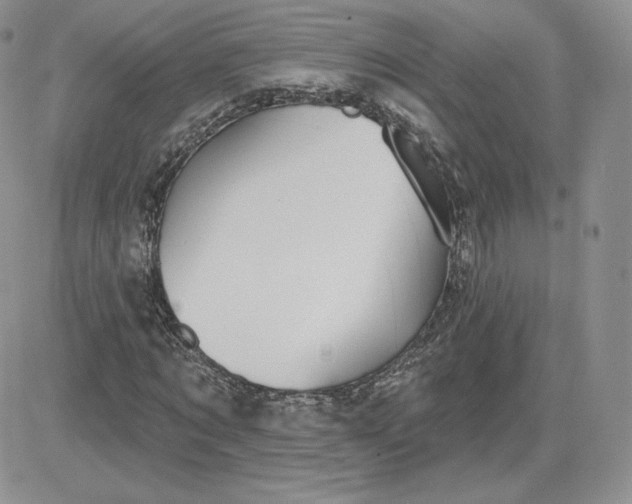 X0000081560869200701291147