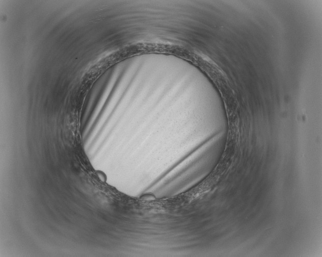 X0000081560870200701291147