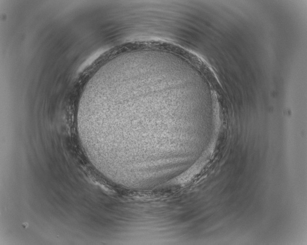 X0000081560871200701291147