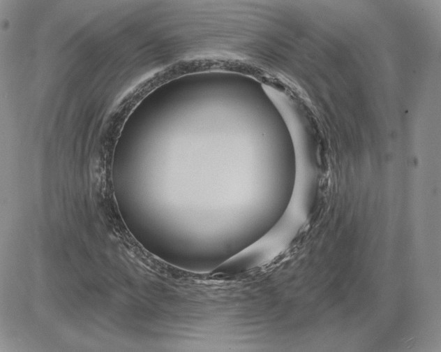 X0000081560872200701291147