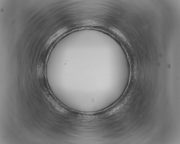 X0000081560873200701291147