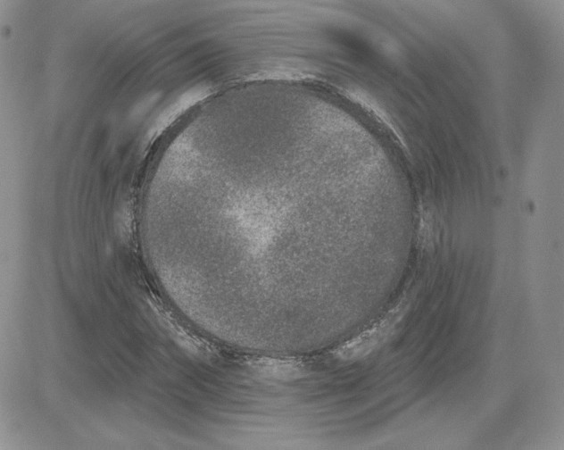 X0000081560874200701291147