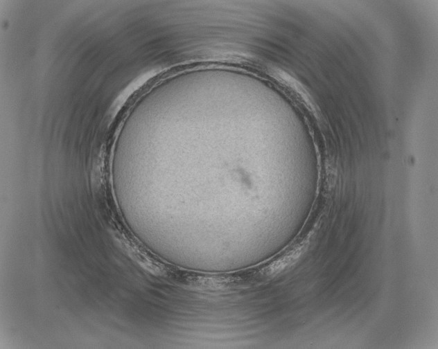 X0000081560875200701291147