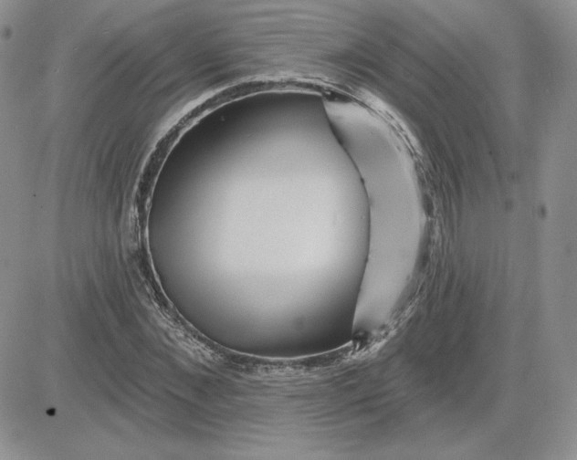 X0000081560876200701291147