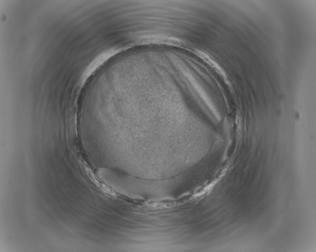 X0000081560877200701291147