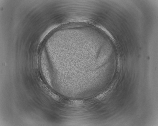 X0000081560878200701291147