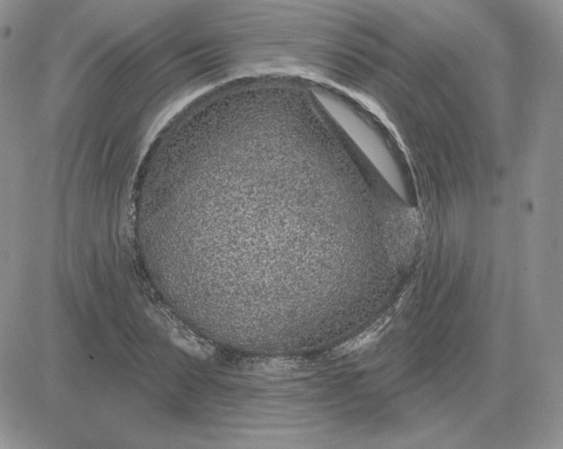 X0000081560879200701291147