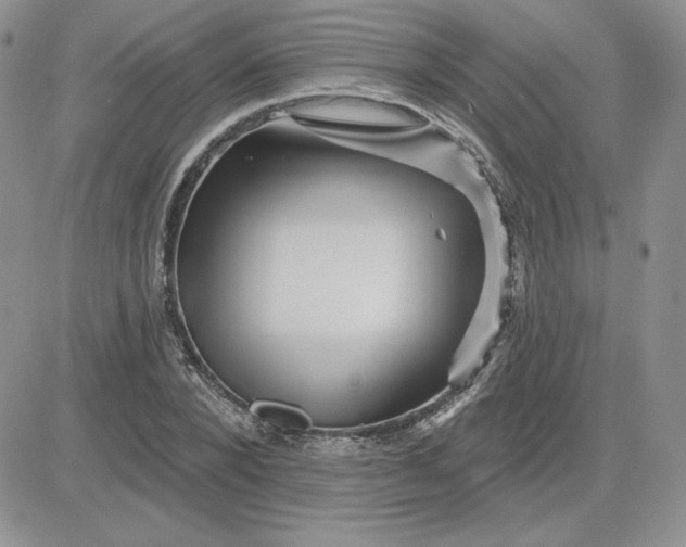 X0000081560880200701291147