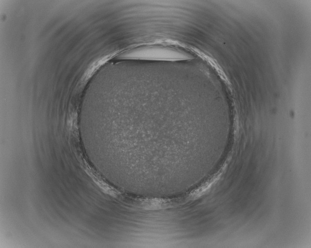 X0000081560881200701291147