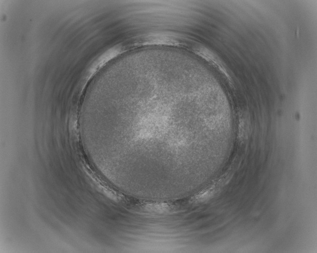 X0000081560882200701291147