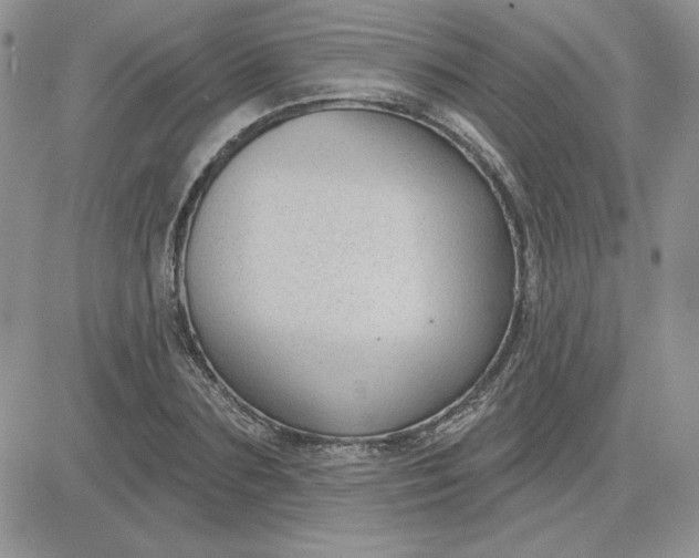 X0000081560883200701291147