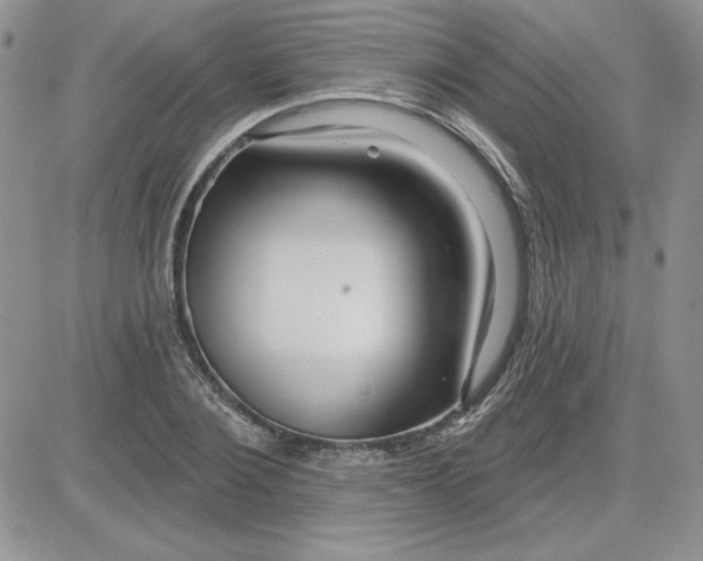 X0000081560884200701291147