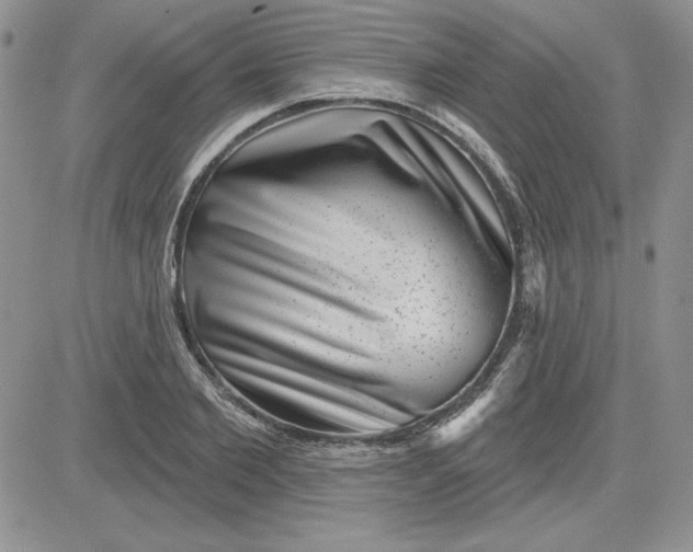 X0000081560885200701291147