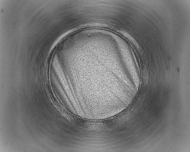 X0000081560886200701291147