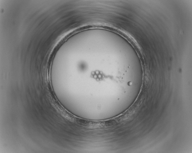 X0000081560887200701291147