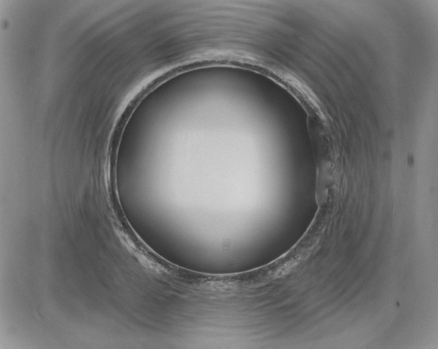 X0000081560888200701291147