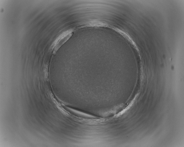 X0000081560889200701291147