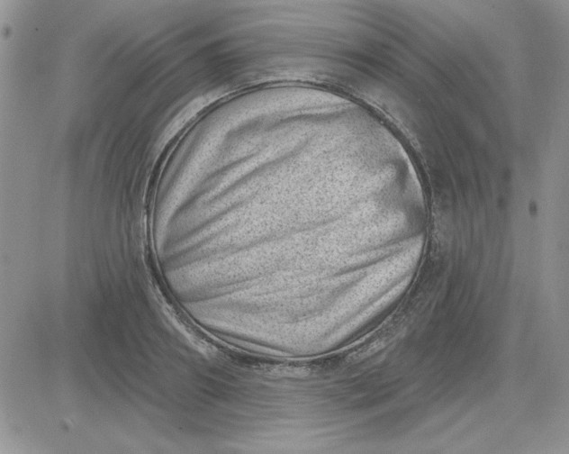 X0000081560890200701291147