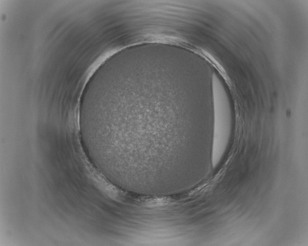 X0000081560891200701291147