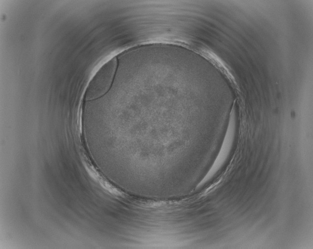 X0000081560892200701291147