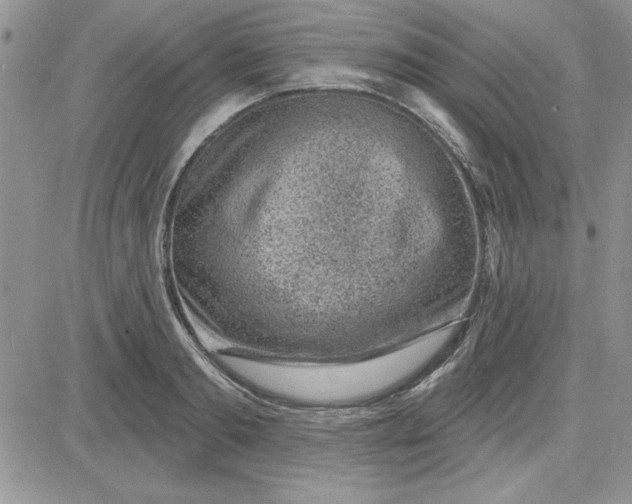 X0000081560893200701291147