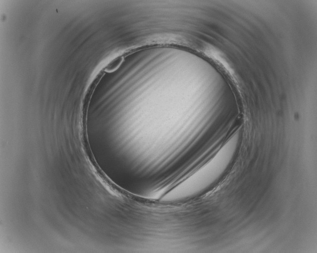 X0000081560894200701291147