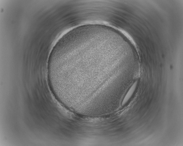 X0000081560895200701291147