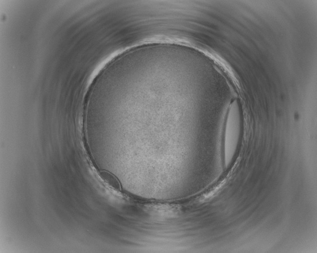 X0000081560896200701291147