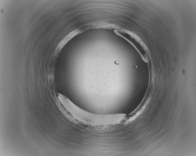 X0000081560897200701291147