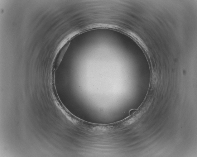 X0000081560898200701291147