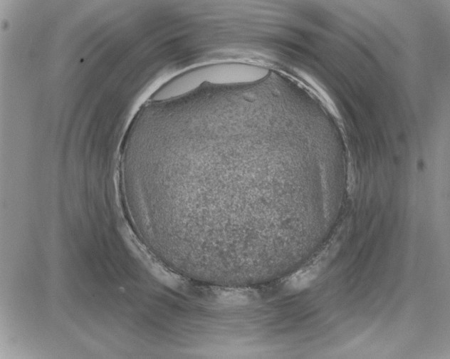 X0000081560899200701291147