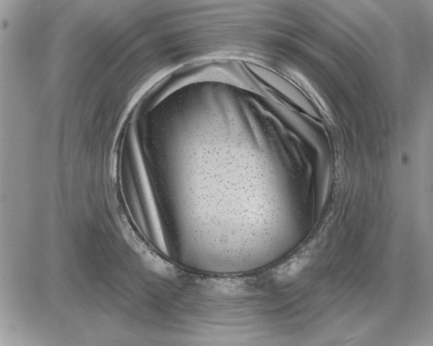 X0000081560900200701291147