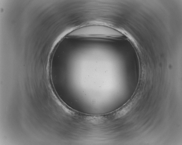 X0000081560902200701291146