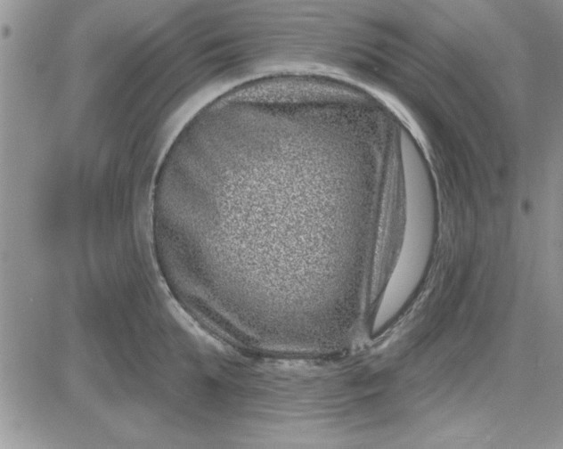 X0000081560903200701291146